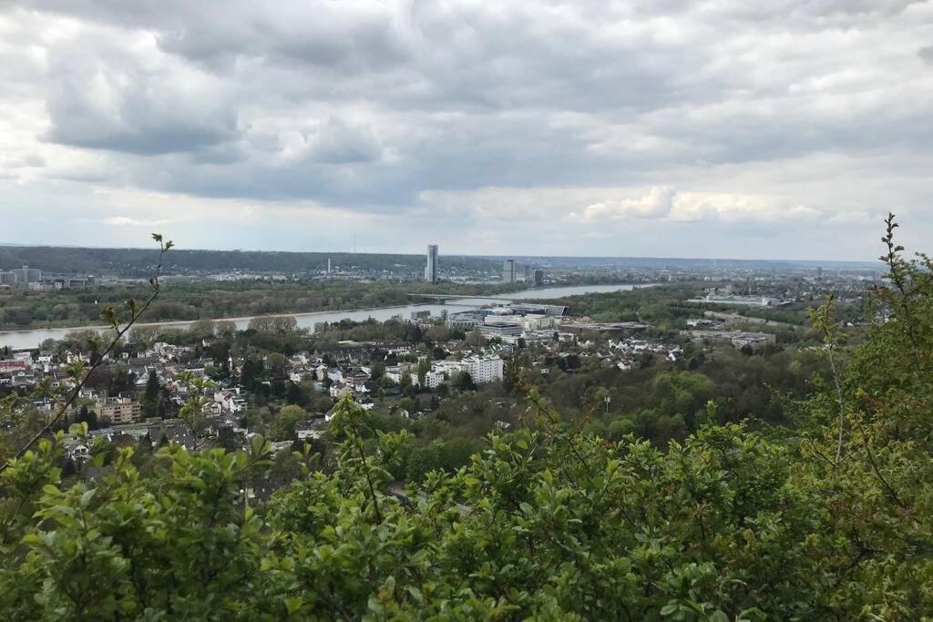 Modern Renovated Apartment Suited For Business Consultants - In Close Distance To Dt, Dhl And Un Campus - Reserved Parking Bonn Bagian luar foto